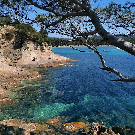 A Port - Proche De Toutes Commodites * Hyeres